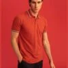 DeFacto Man Slim Fit Polo Neck Short Sleeve Polo T-Shirt -Active Fashion Store 1 zoom desktop 1121