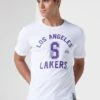 Outerstuff NBA Lebron James Los Angeles Lakers T-Shirt -Active Fashion Store 1 zoom desktop 235