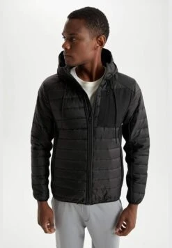 DeFacto Standard Fit Long Sleeve Padded Coat