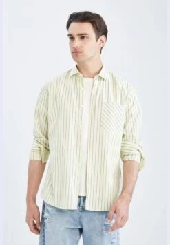 DeFacto Regular Fit Long Sleeve Striped Poplin Shirt