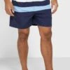 Colourblock Swimshorts -Active Fashion Store 1 zoom desktop 841