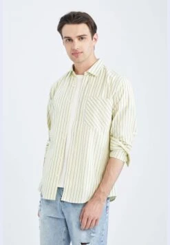 DeFacto Regular Fit Long Sleeve Striped Poplin Shirt -Active Fashion Store 3 zoom desktop 628