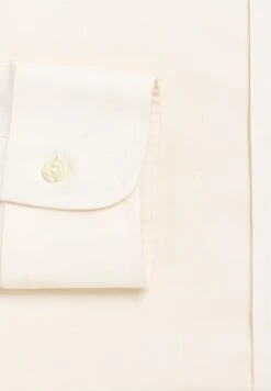 Regular Fit Spread Collar Shirt -Active Fashion Store 3 zoom desktop 763