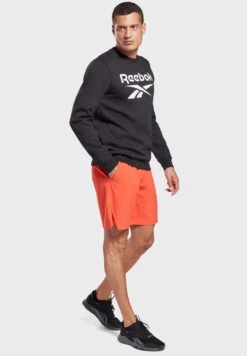 Reebok Logo Fleece Sweatshirt -Active Fashion Store 4 zoom desktop 419