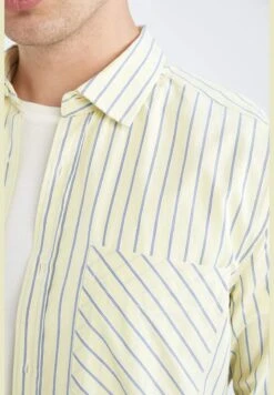 DeFacto Regular Fit Long Sleeve Striped Poplin Shirt -Active Fashion Store 4 zoom desktop 615