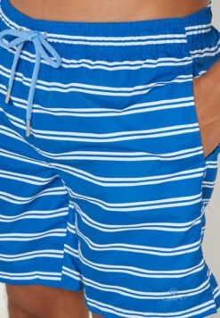 Gant Striped Swim Shorts -Active Fashion Store 4 zoom desktop 809