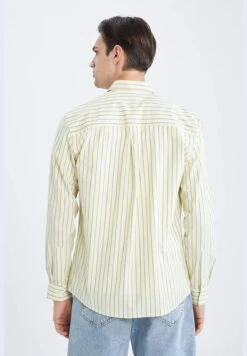 DeFacto Regular Fit Long Sleeve Striped Poplin Shirt -Active Fashion Store 5 zoom desktop 218