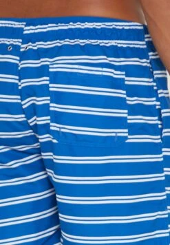 Gant Striped Swim Shorts -Active Fashion Store 5 zoom desktop 325