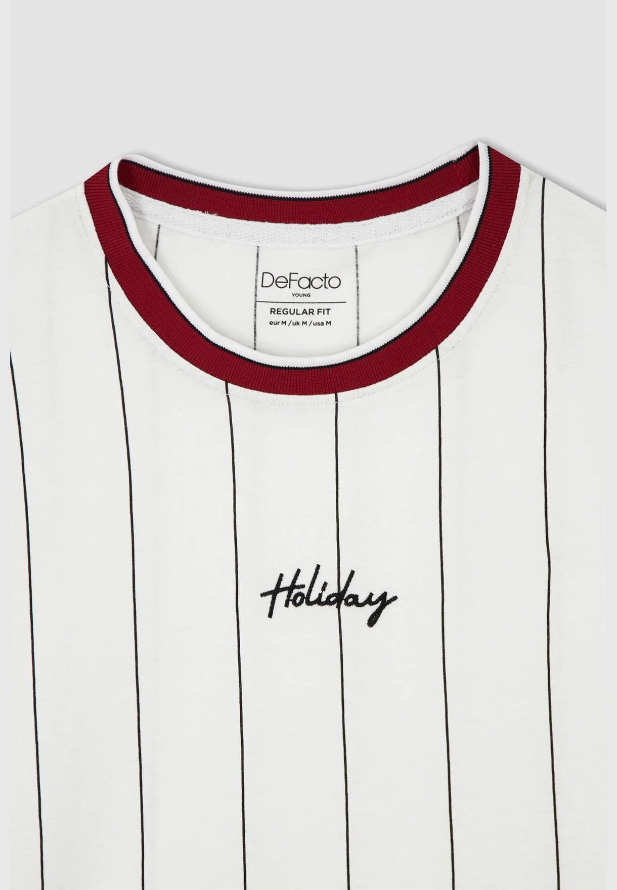 DeFacto Regular Fit Short Sleeve Striped Slogan Print T-Shirt 9 DeFacto Regular Fit Short Sleeve Striped Slogan Print T-Shirt - Image 7